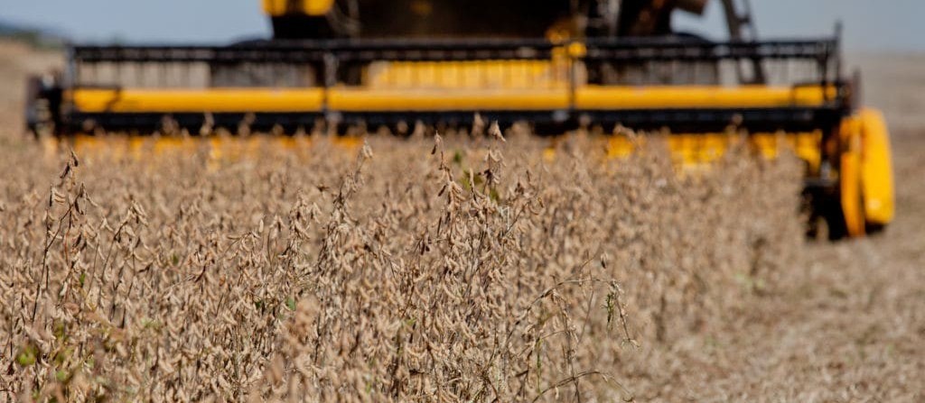 Seguro Rural atinge a marca de R$ 20 bilhões em valor segurado no ano de 2019