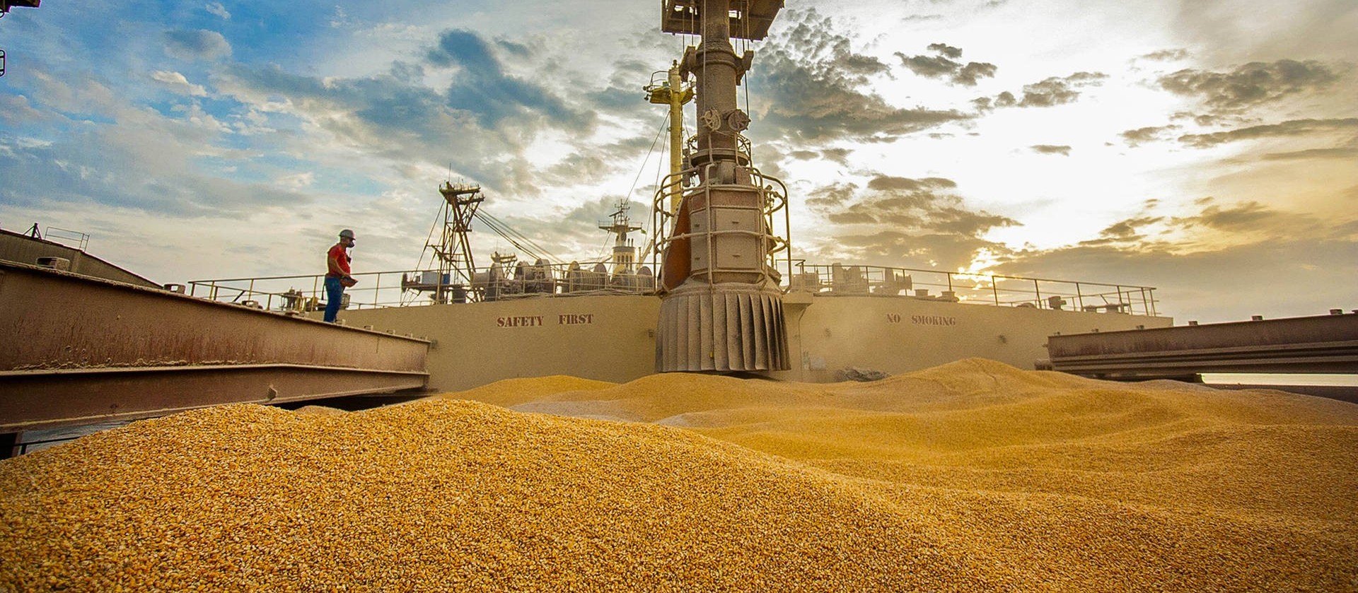 Brasil exporta 60 mil toneladas de milho para os EUA 