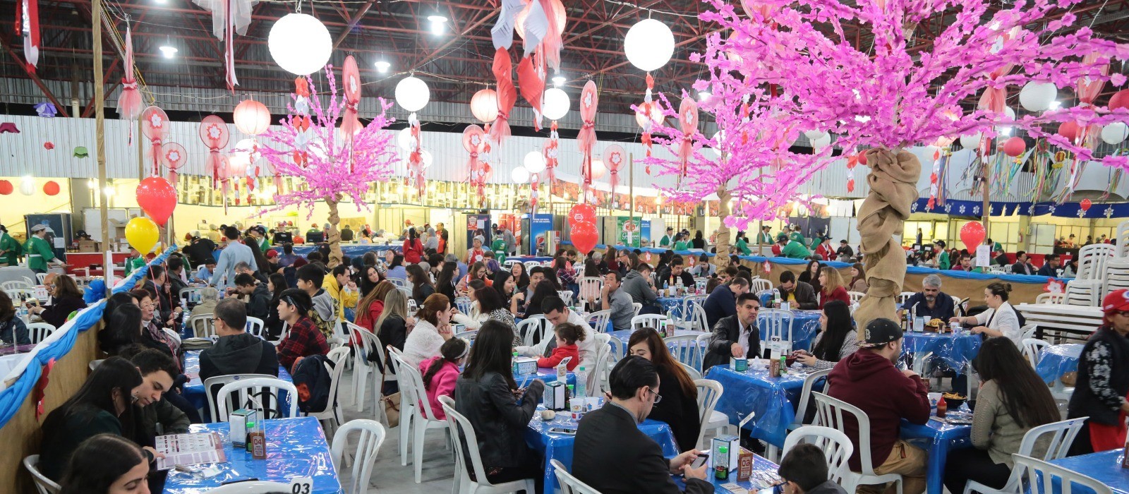 Festival Nipo-Brasileiro começa nesse sábado (5) celebrando tradições