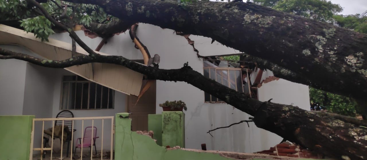 Temporal provoca estragos em Maringá