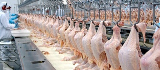 Brasil exportou 112 mil toneladas de carne de frango na primeira semana deste mês