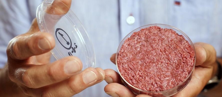 Carne cultivada: uma alternativa para suplementar a alimentação no planeta