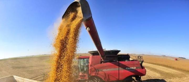 É importante escolher um representante agro na eleição