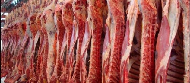 Exportações de carne em abril é 44% superior ao mesmo período de 2018