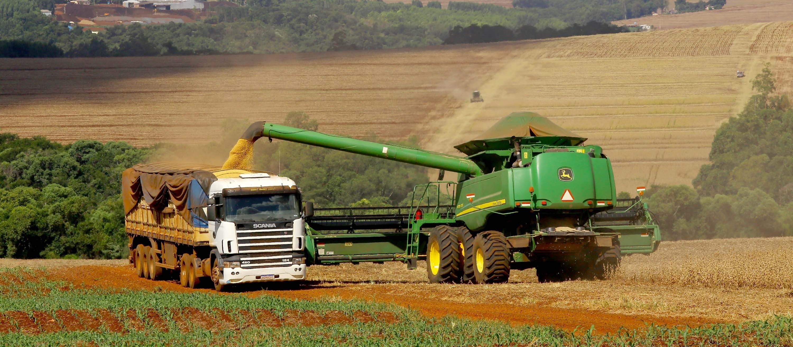 Nematoides causam prejuízos em safras brasileiras 