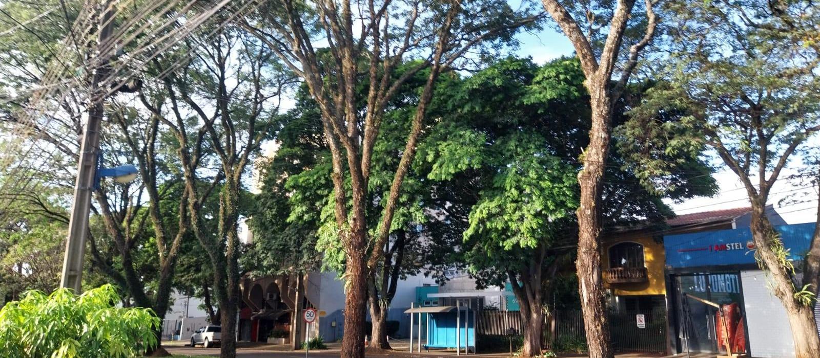 Domingo (30) com possibilidade de chuva em Maringá