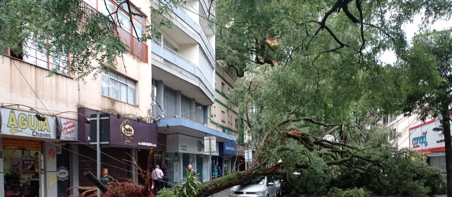 Ventos durante o temporal de sábado chegaram a 91 km/h em Maringá