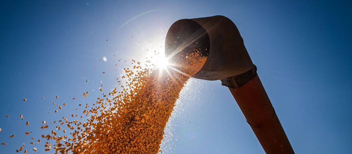 Safra de grãos pode chegar a 291,1 milhões de toneladas
