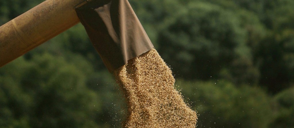 Produtor brasileiro de soja deve segurar as vendas, dizem analistas
