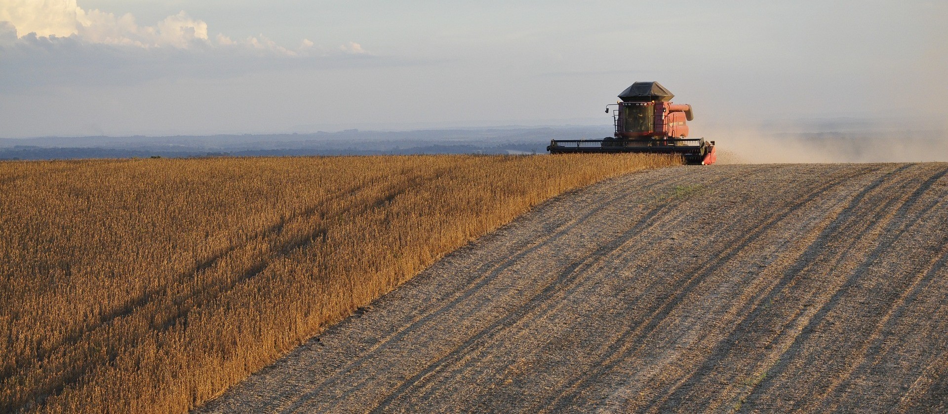 Datagro eleva safra 2019/20 de soja do Brasil para 122 milhões de toneladas