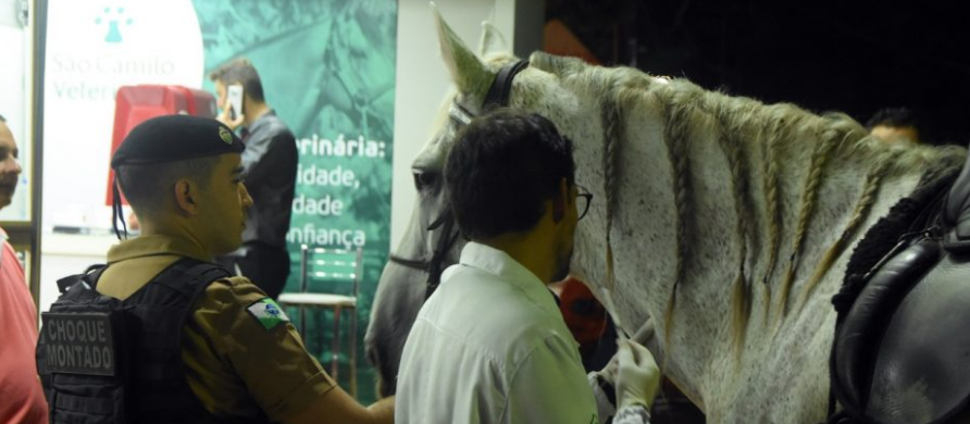 Pela primeira vez um laboratório veterinário está na Feira