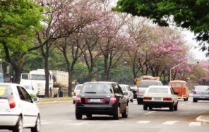 Avenida Colombo em Maringá será mais importante que a Brasil. Mas para isso será preciso mudar o visual da via