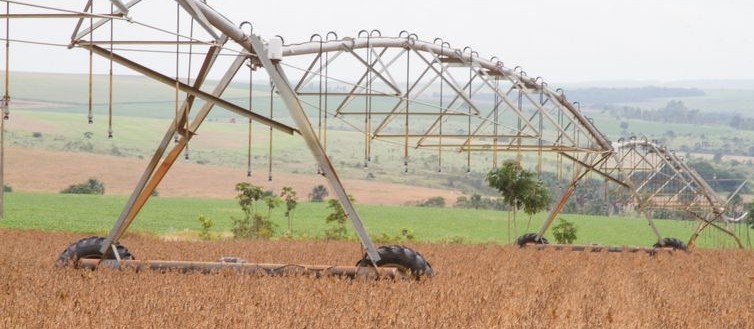 Conab anuncia garantia de fornecimento de fertilizantes pela Rússia