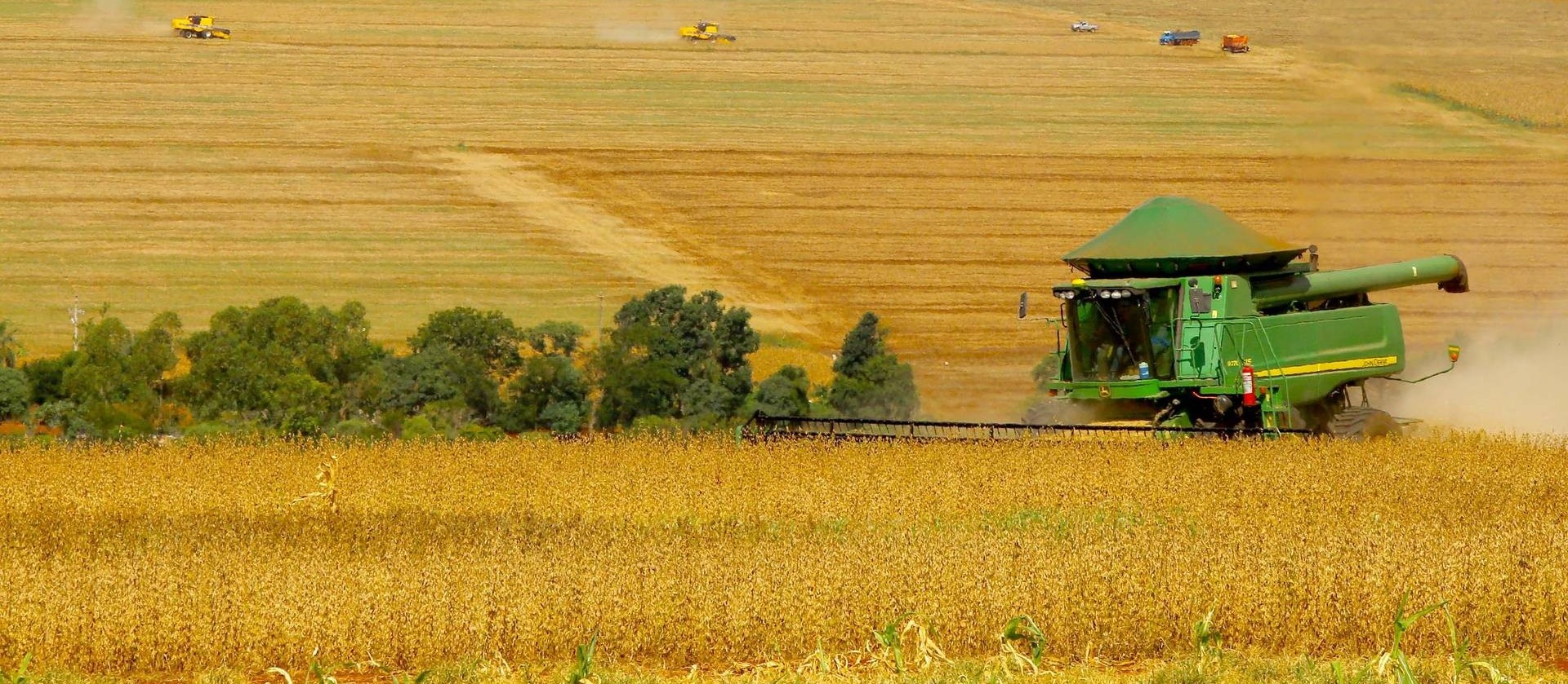 Plano Safra 2021/2022 anuncia R$ 251 bilhões para produtores rurais