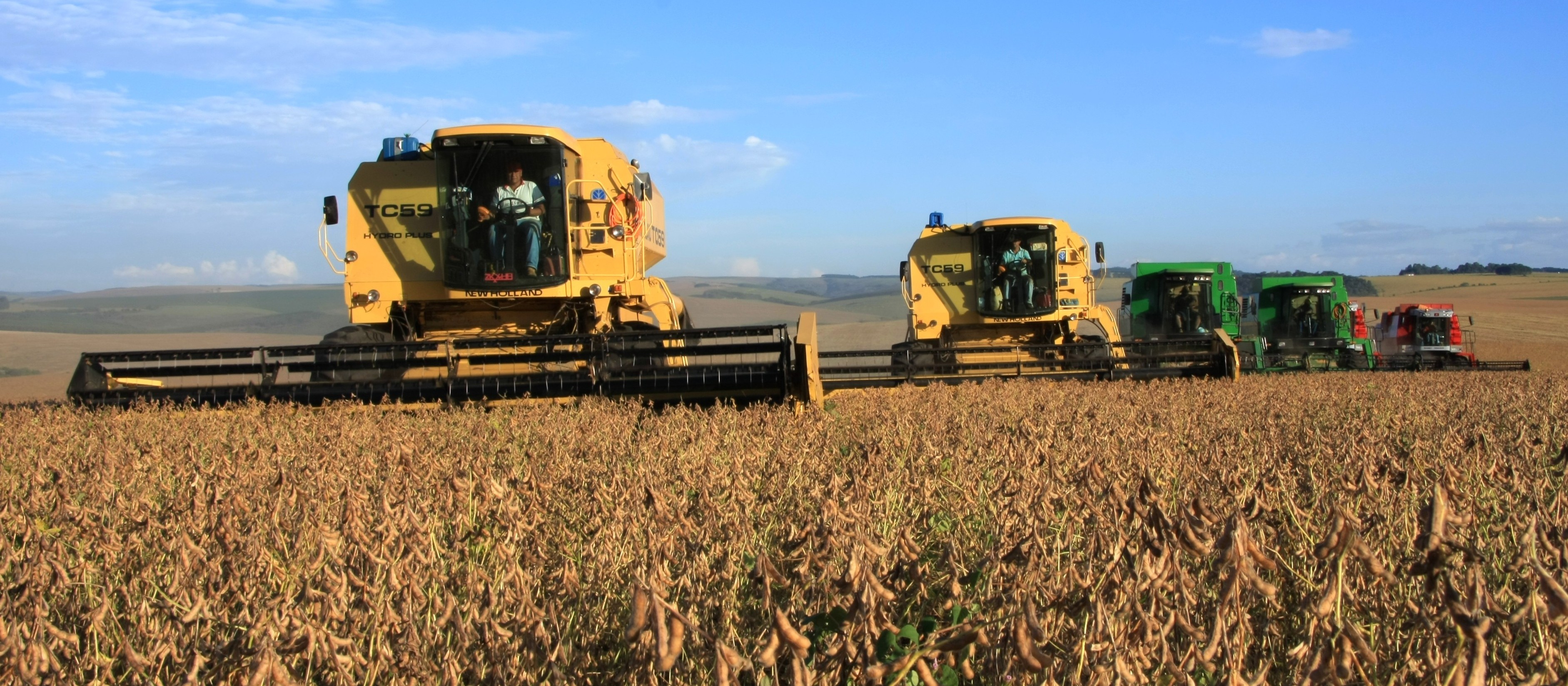 Agropecuária do Paraná em 2017 teve o melhor desempenho em quatro anos