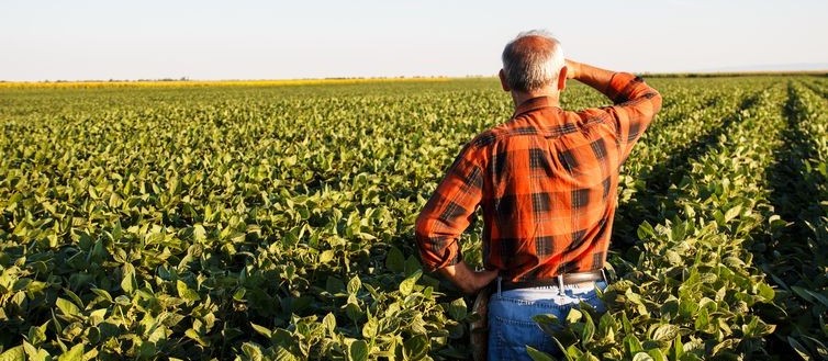 Receita Estadual do Paraná poderá cancelar o Cadastro do Produtor Rural a partir de 11 de julho