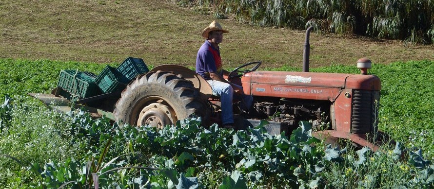 Tentativas de golpe em produtores no Paraná