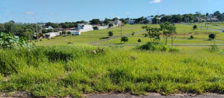 29 terrenos são leiloados pela Prefeitura de Umuarama