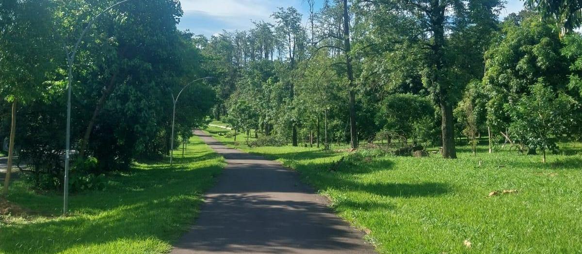Termômetros podem chegar a 36ºC neste sábado (7) em Maringá