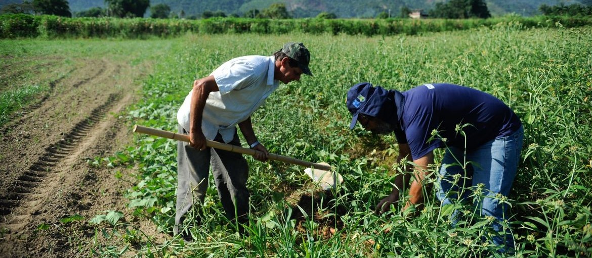 Campanha estimula o agricultor a pagar insumos com produção