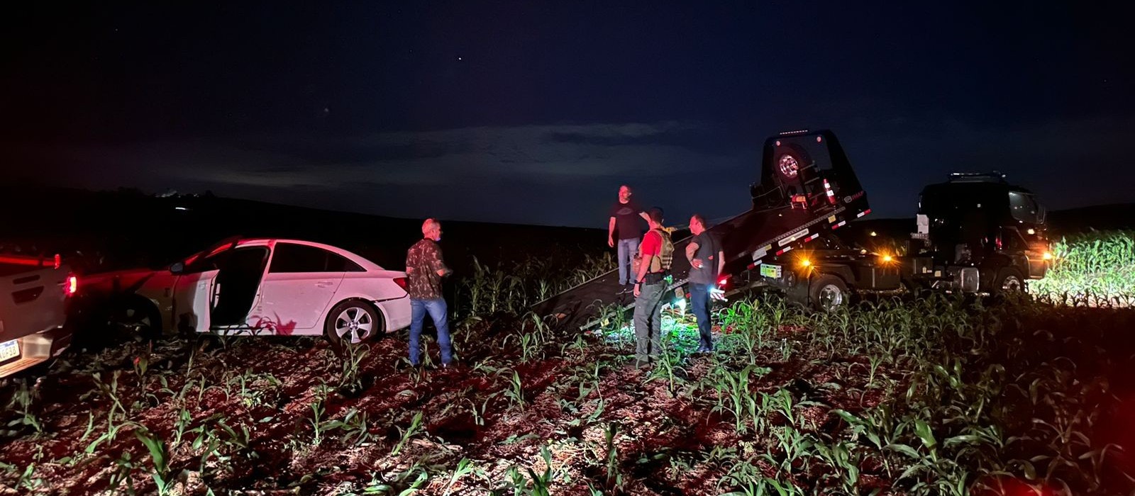 PF e RF apreendem mais de 400 kg de maconha e skunk