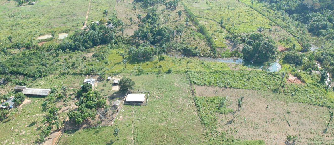 10 anos do novo Código Florestal Brasileiro