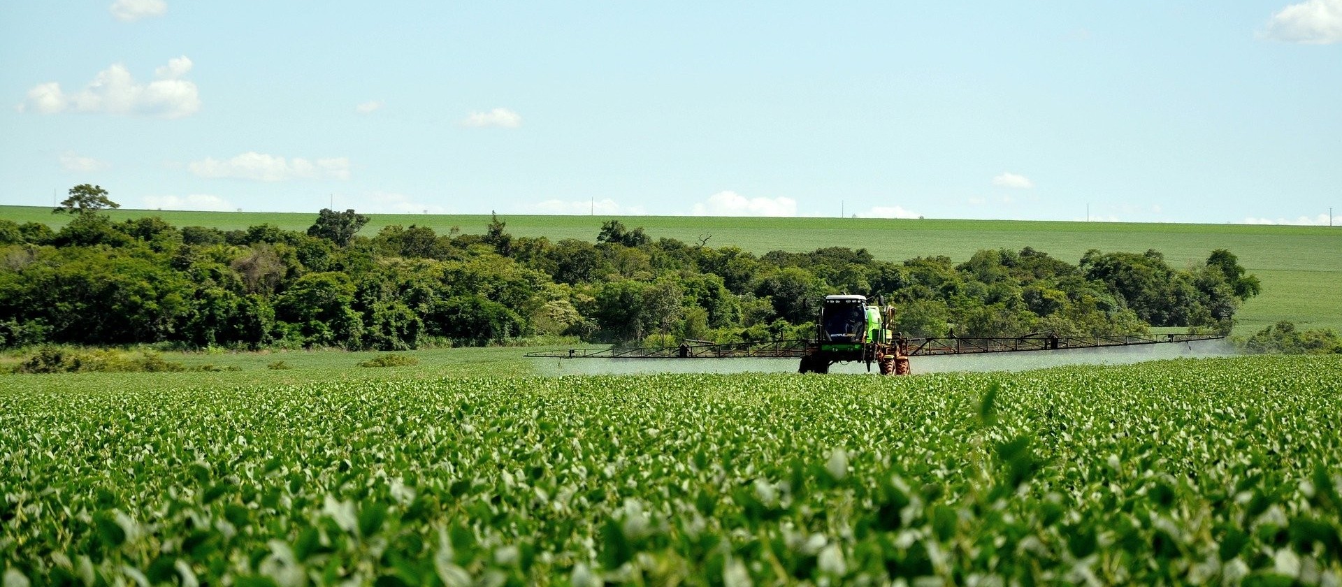 Brasil é o 2º maior comprador de defensivos proibidos