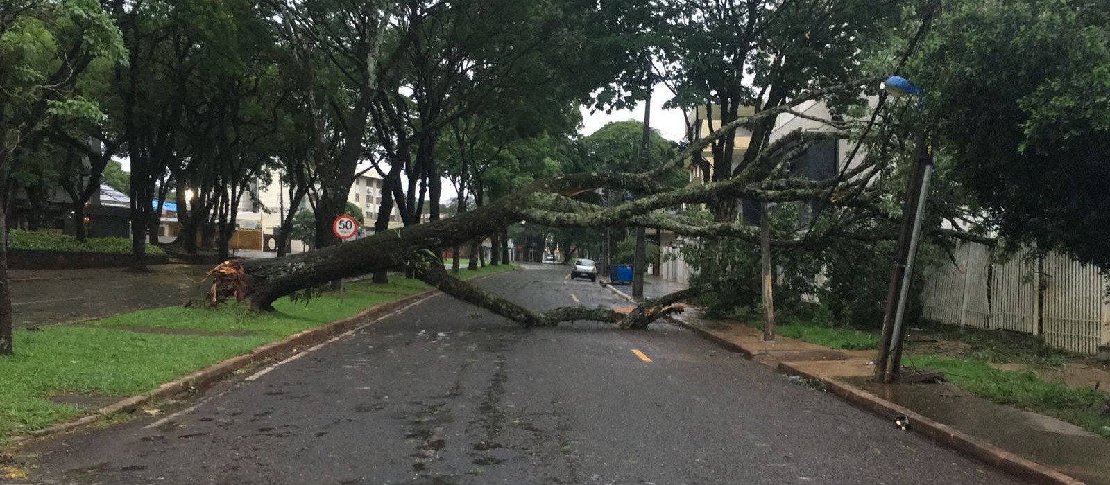 Defesa Civil Municipal recebeu mais de 40 chamados por causa de estragos da chuva