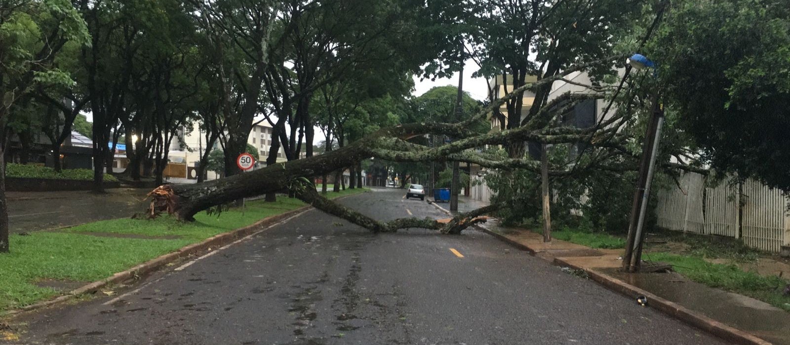 Defesa Civil Municipal recebeu mais de 40 chamados por causa de estragos da chuva 