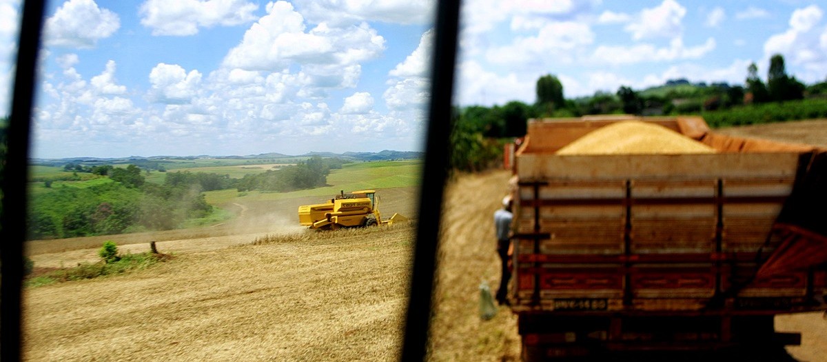 PIB da agropecuária se manteve estável no segundo trimestre