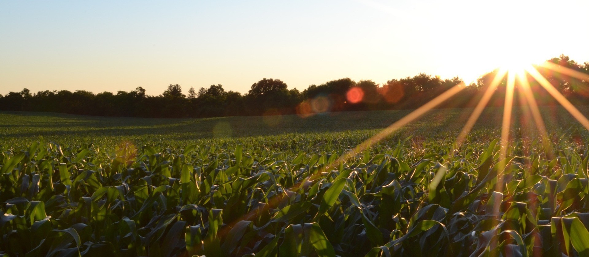 Exportações do agro batem novo recorde