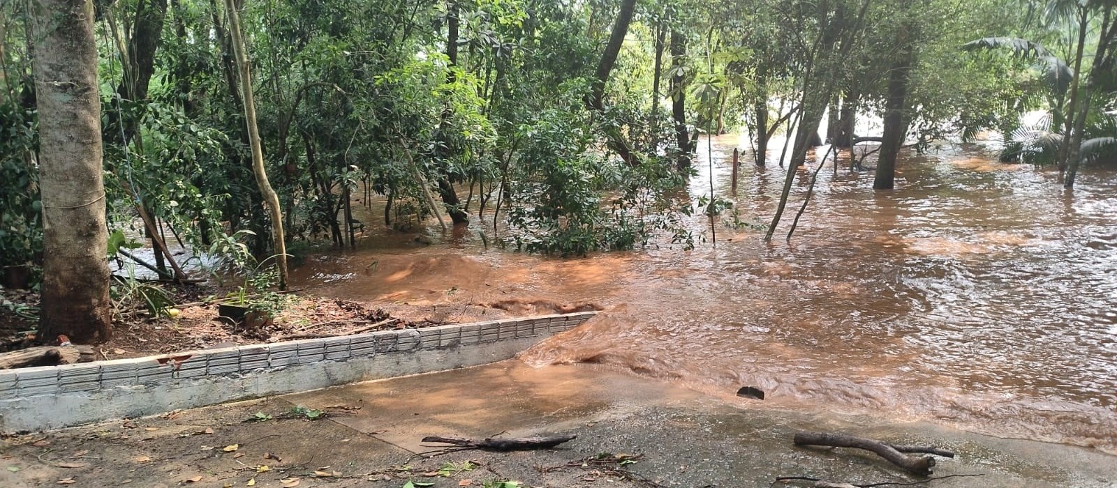 Defesa Civil alerta moradores às margens do Rio Ivaí 