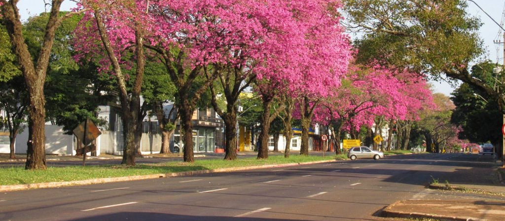 Com municipalização da Colombo, Eixo Monumental poderá chegar até UEM