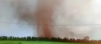 Tornado atinge zona rural de Marialva, destelha casas e provoca estragos; vídeo