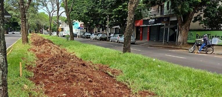 Veja como está a obra da ciclovia da Avenida Tuiuti em Maringá