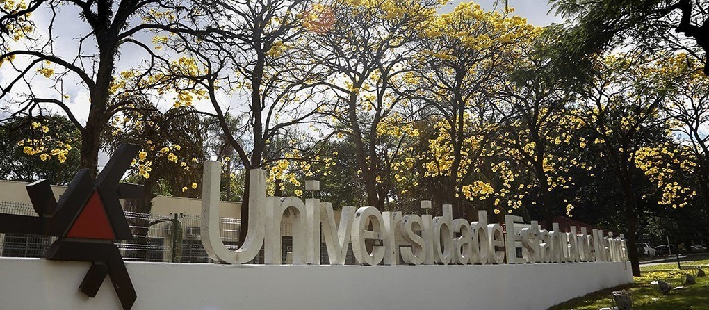 Ranking internacional aponta UEM como 14ª melhor universidade do Brasil