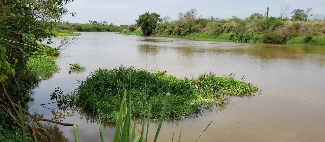 Corpo de enfermeiro do HU é encontrado no Rio Pirapó