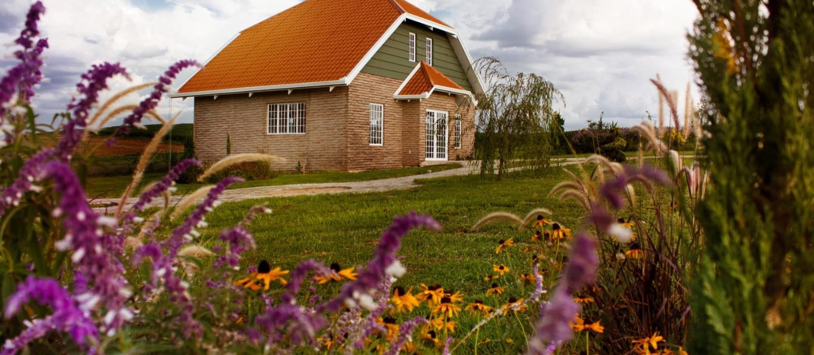 Rota da Lavanda faz parte do turismo rural