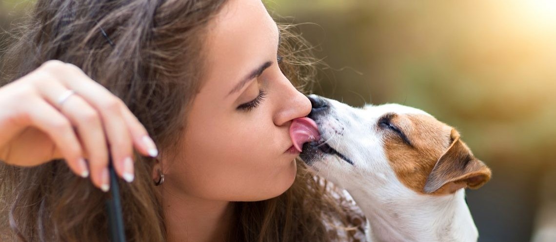 Saiba as doenças que podem ser transmitidas por animais em humanos