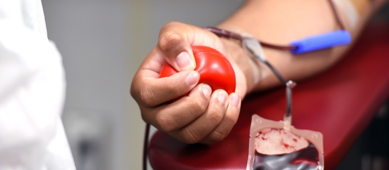 Campanha mundial incentiva doação de sangue