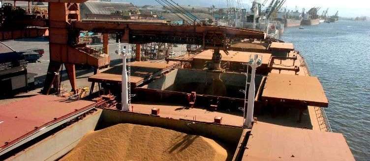 Porto de Paranaguá movimentará maior carga grãos de sua história