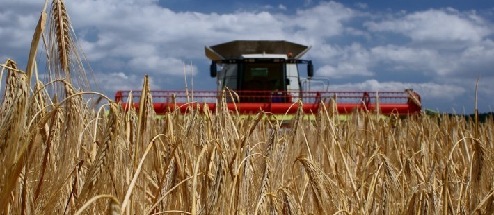 O efeito do coronavírus no agronegócio do Paraná