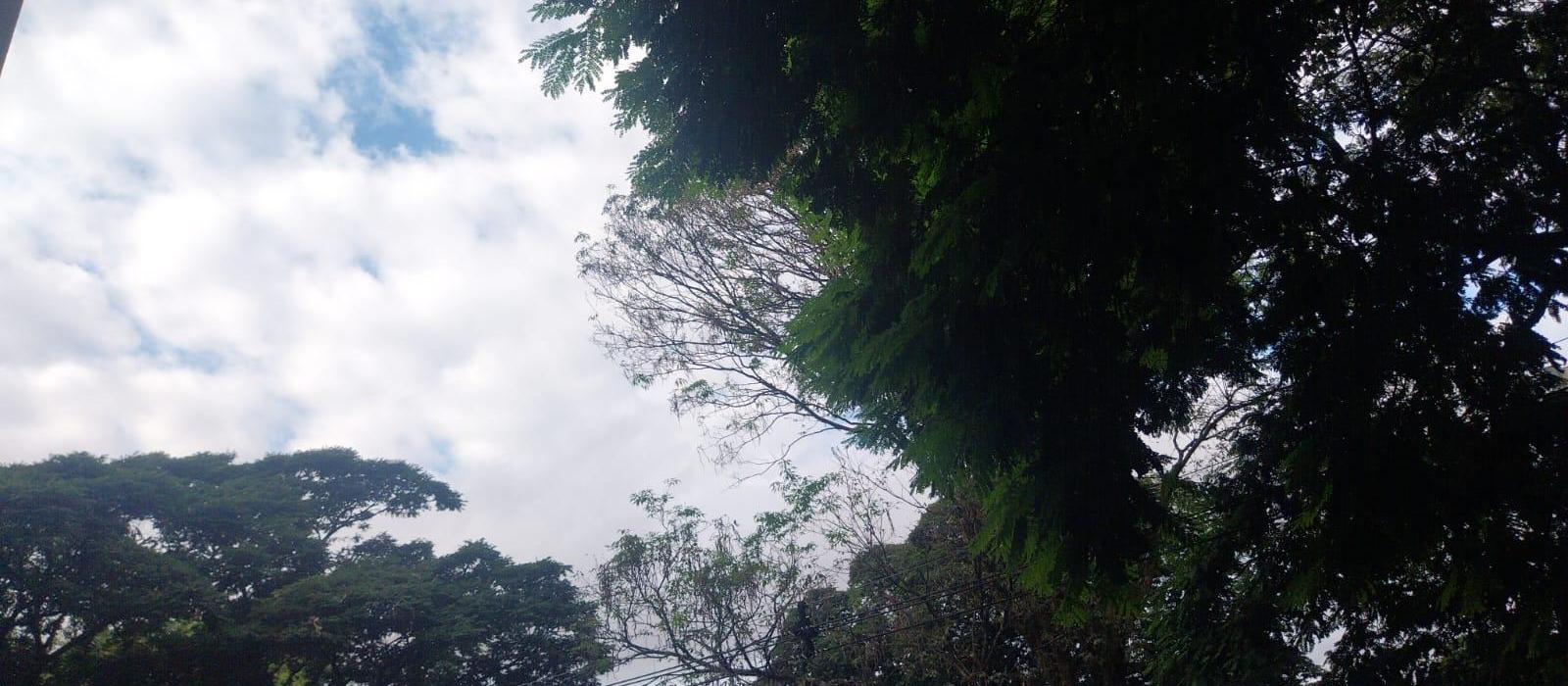 Sábado (5) de tempo nublado e máxima de 27ºC em Maringá