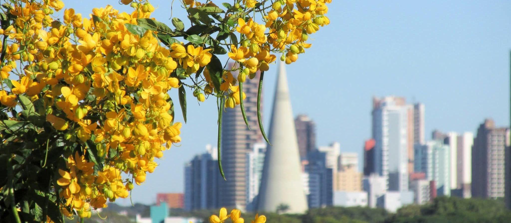 Confira a previsão do tempo em Maringá e no Paraná