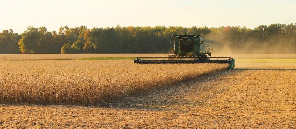 Colheita da soja ganha ritmo no Paraná