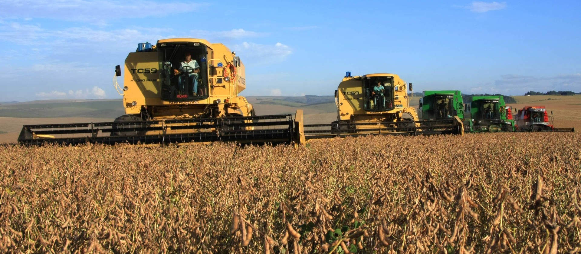 Qual será o futuro do agronegócio brasileiro?