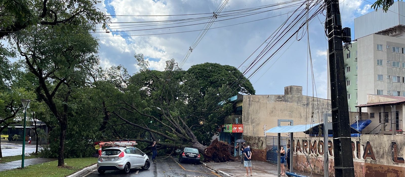 Chuva derruba árvores e deixa sete mil imóveis sem luz em Maringá