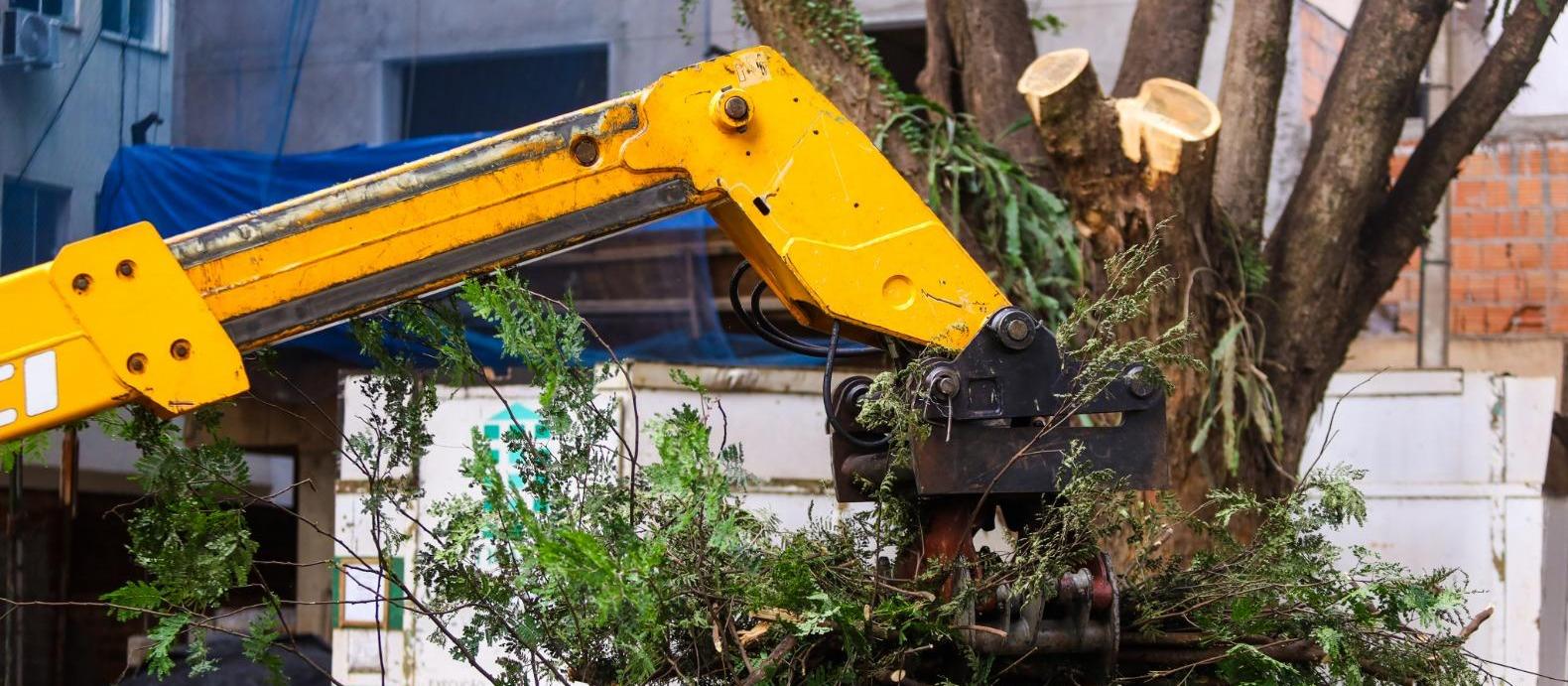 Como preparativo para o Natal, Seinfra inicia operação no centro