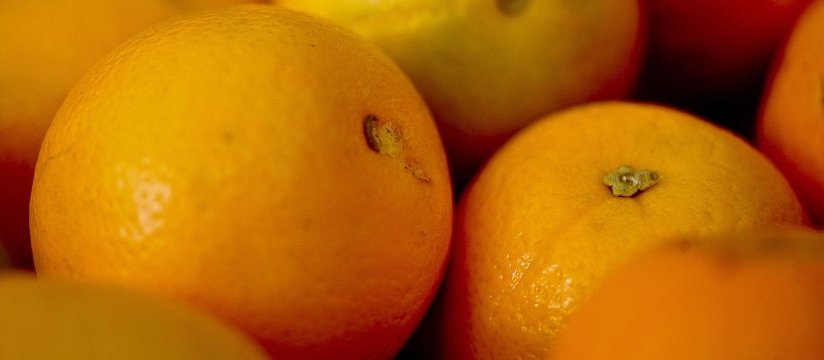 Greening atinge 18% das produções de citros no Brasil