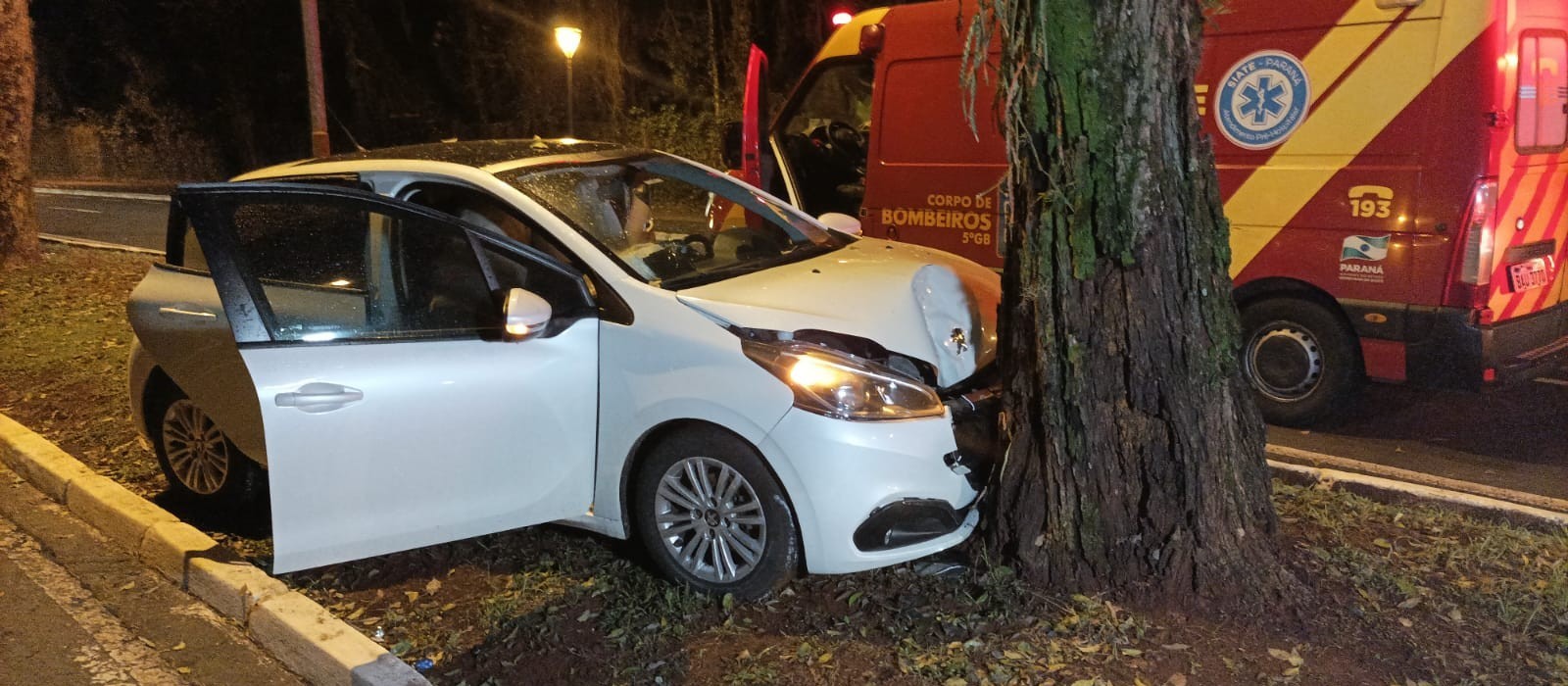 Motorista perde controle da direção e bate contra árvore na avenida JK, em Maringá